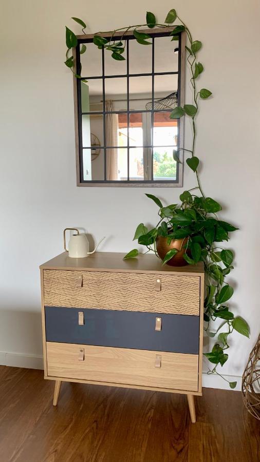 Appartement Tolosa מראה חיצוני תמונה